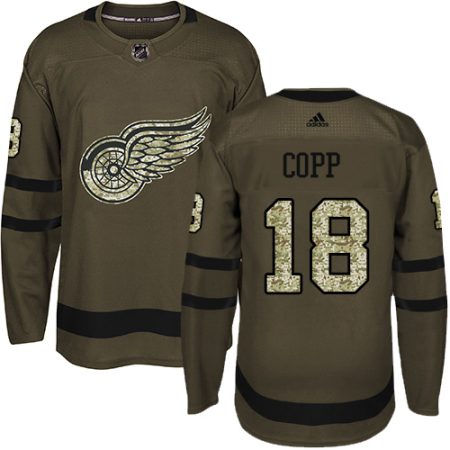 elite Adidas Red Wings #18 Andrew Copp Green Salute to Service Stitched Youth NHL Jersey