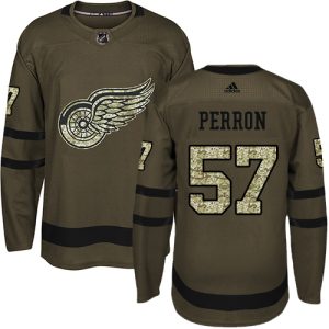 adidas red wings #57 david perron green salute to service stitched youth nhl elite jersey